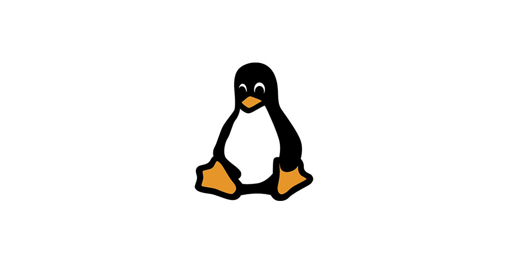 le cinque distribuzioni linux più diffuse