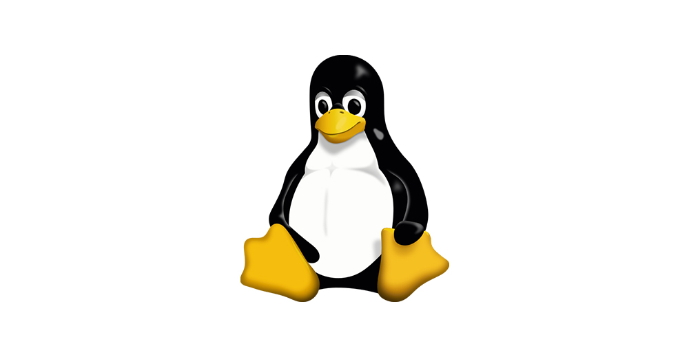 vulnerabilità kernel linux