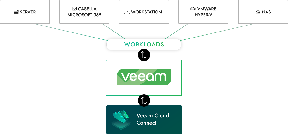 https://www.shellrent.com/images/schema-veeam-baas-2024.png